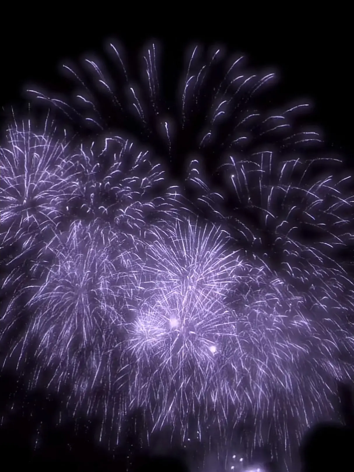 DaftlyGrape2681의 風邪をひいちゃったﾕｻﾞさん