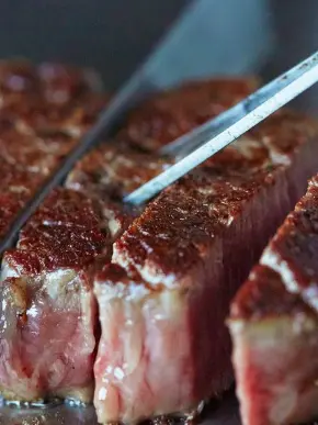 HacklordShedletsky의 We love Fresh Meat