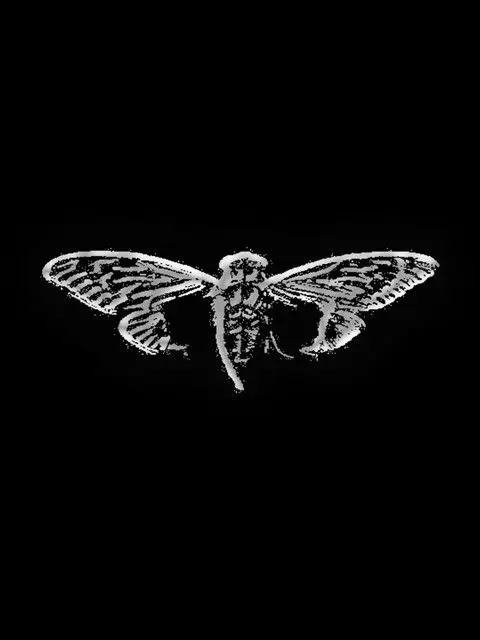 kyohi_roll의 Cicada3301