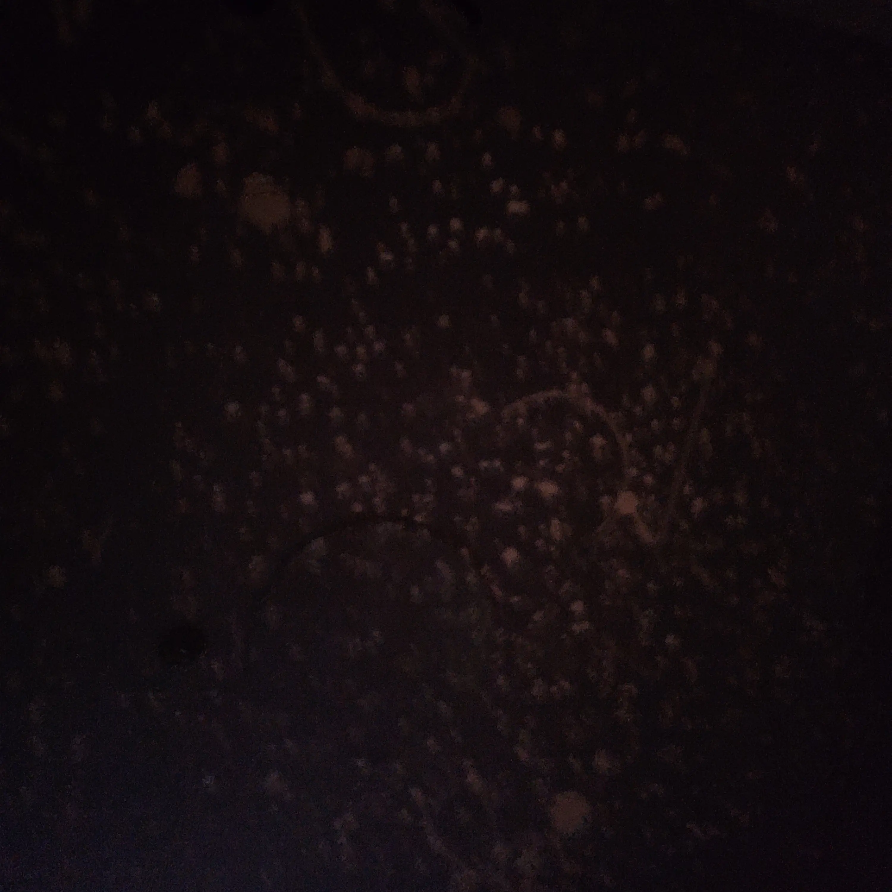 NearSnail4376의 왜 떠나간거야? [ Y ]