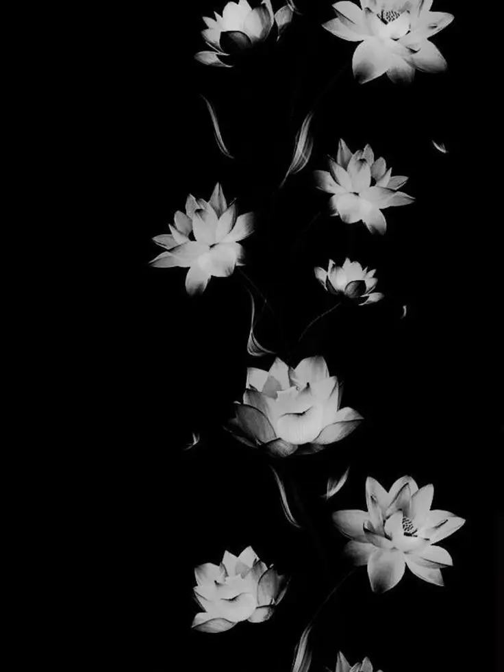 HazyGoal4315의 叶わない恋をする