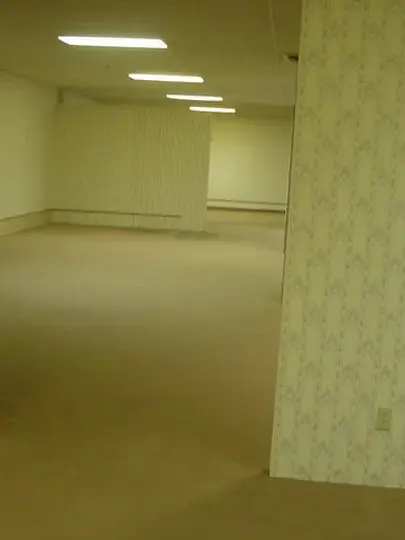 LageAc의 The Backrooms.