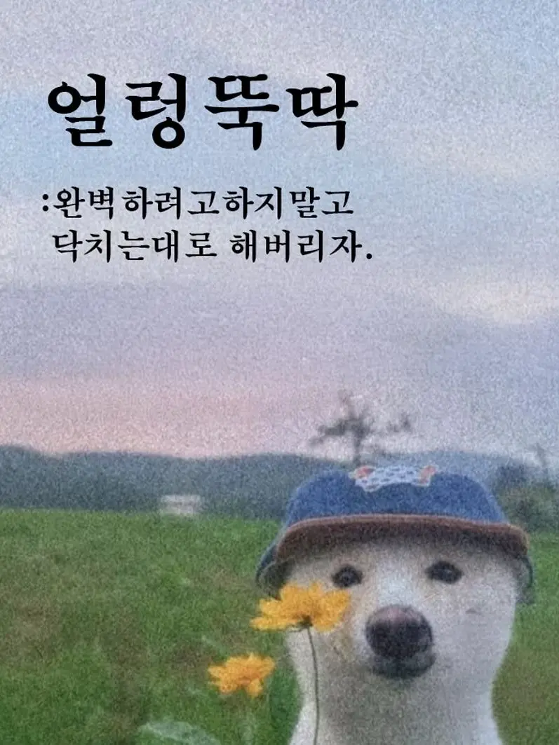 JabDuck_OhRl의 미수반 일상