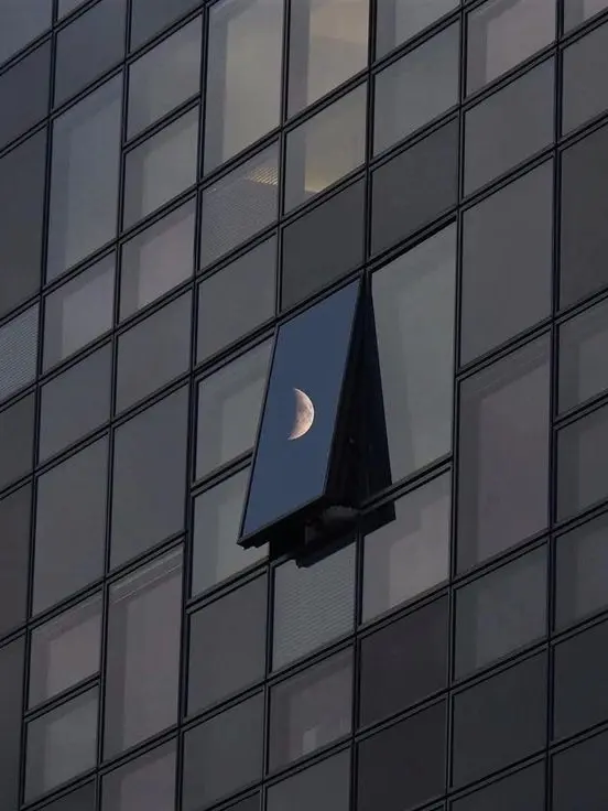 friedjEllyfish1의 死亡