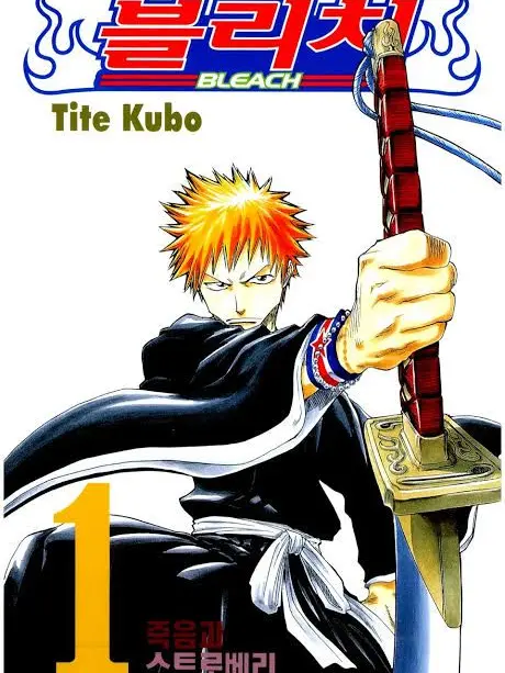 aaa20941의 BLEACH