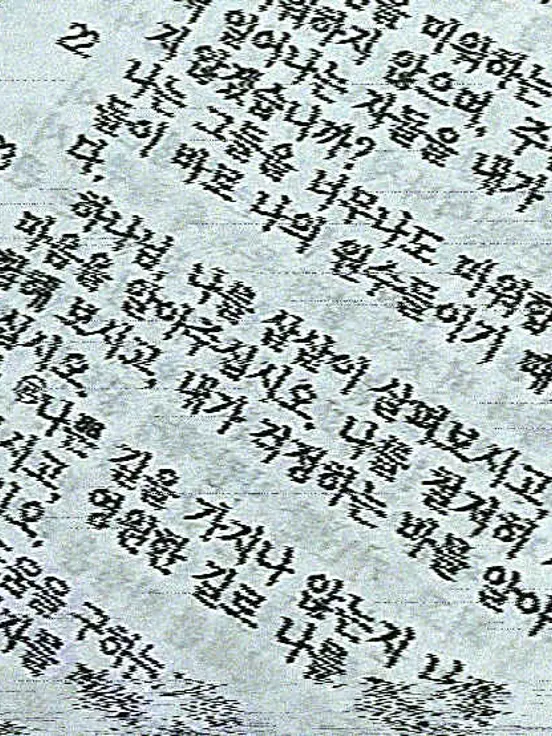 nareumi의 墮落