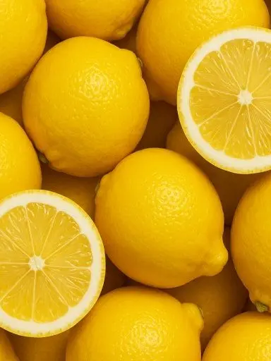 gnyang의 주인님들이 사납다구여?