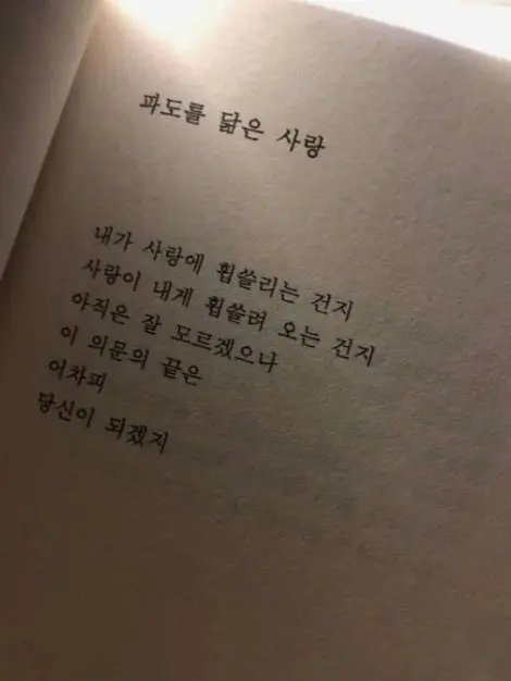 RedHerb7916의 {미수반의 라이벌 팀?!}