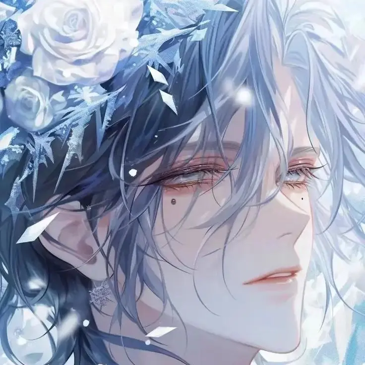 DimGrape0281의 아카데미