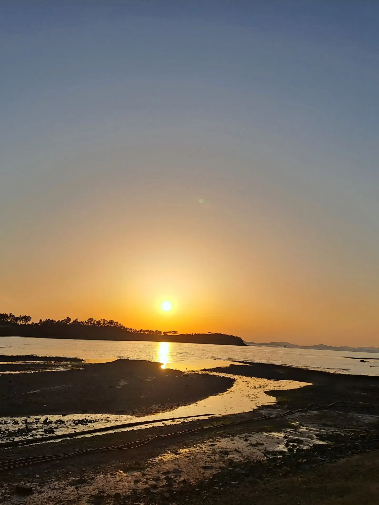 Iimsaoa7373의 타제고의 남녀무리