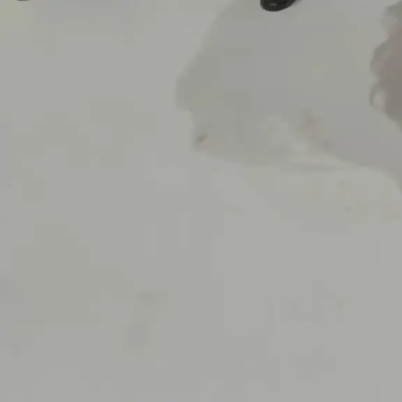 MeanAtom4855의 ㅎㅇㅈ