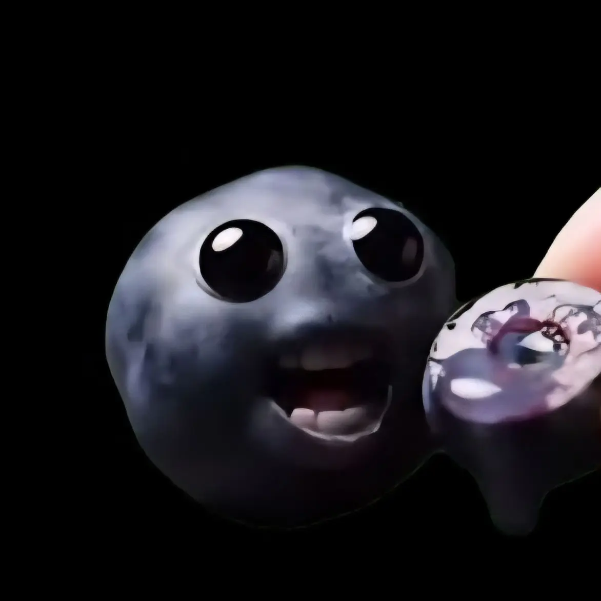 Star_fish_fatty의 과일친구들!(병맛)