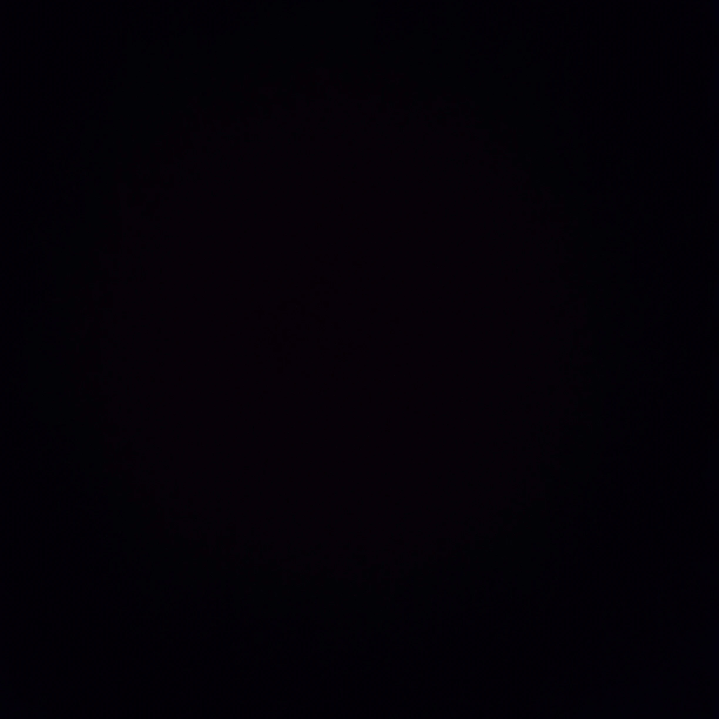 디지털 서커스