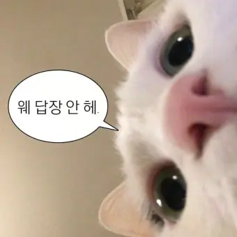 MutedJar3079의 강수현
