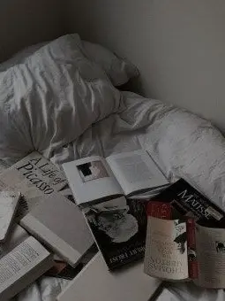 BronzeCloud2554의 [[환생학교 요괴반]] 시즌 1