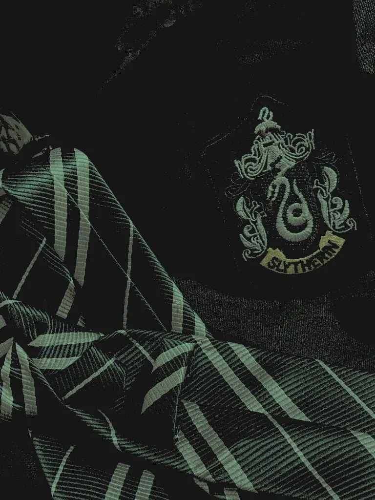 -SLYTHERIN-PRINCESS-24의 The Slytherin boys wanted a guard dog