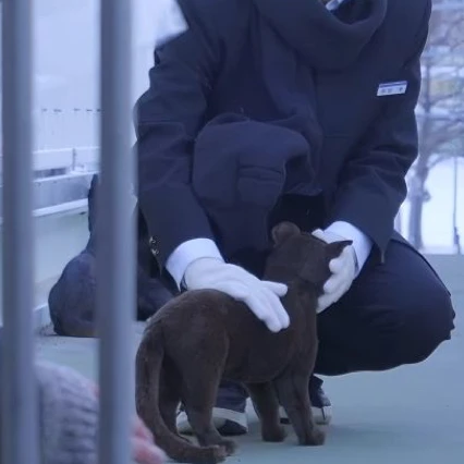 마에다 리쿠