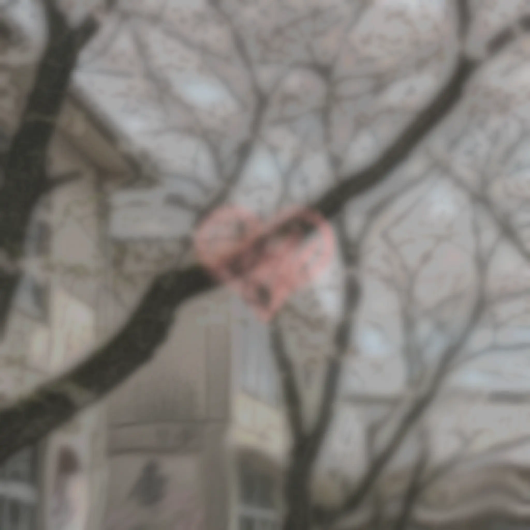 ProudPug9054의 法柏 悠斗