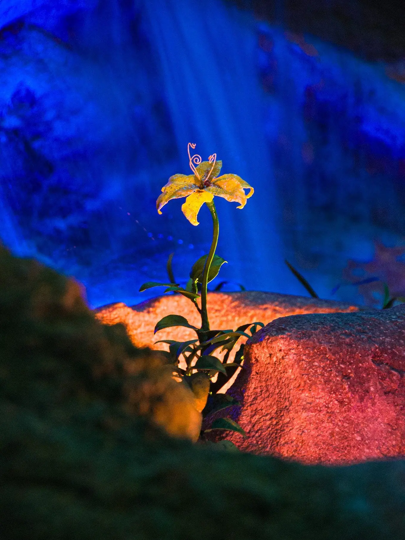 RapierTiger7517의 ドラマ班のスポバの世界（？）です。