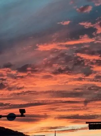 Fried-Fly-Try의 계약으로 만난 사이