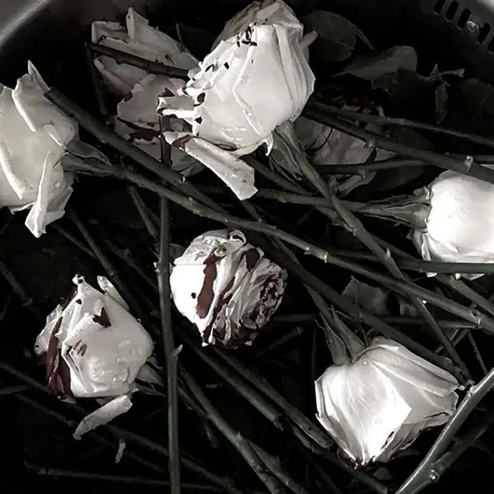 PotentFlax5393의 Artful