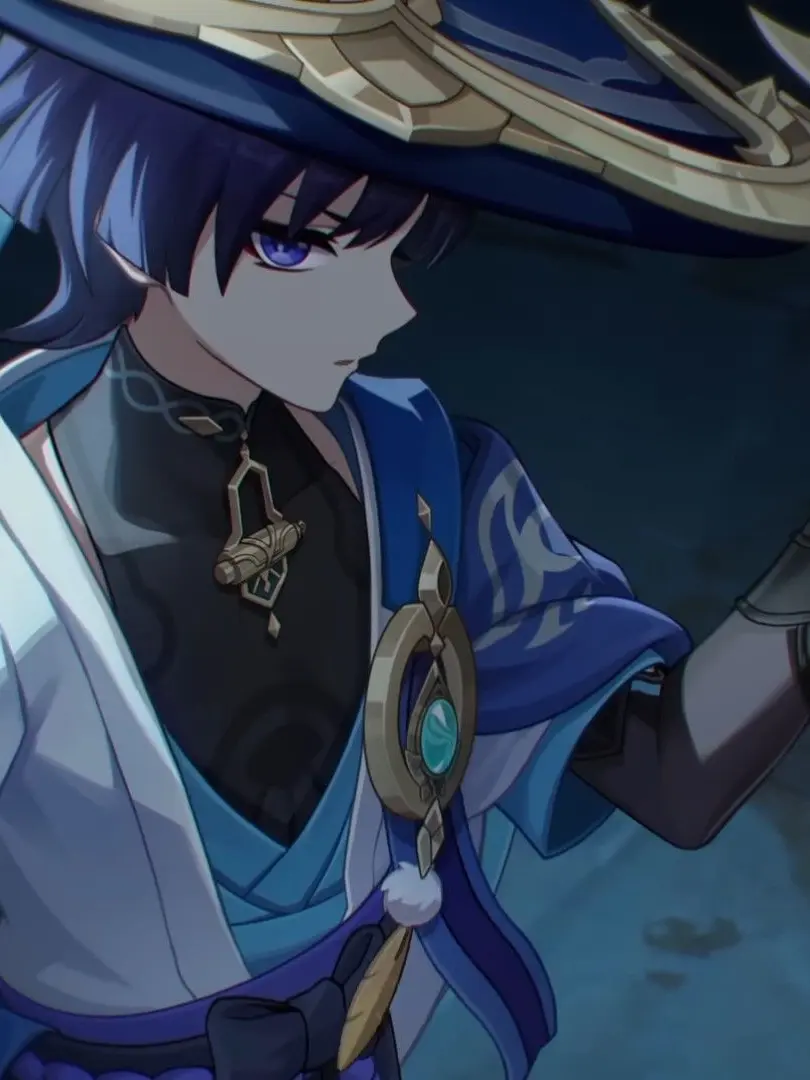 FestalRobin4300의 放浪者