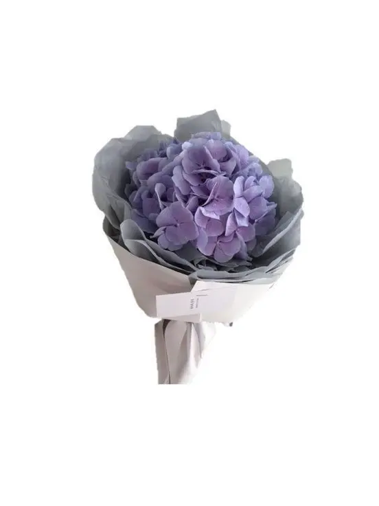 YAMADAii_s의 しょうた