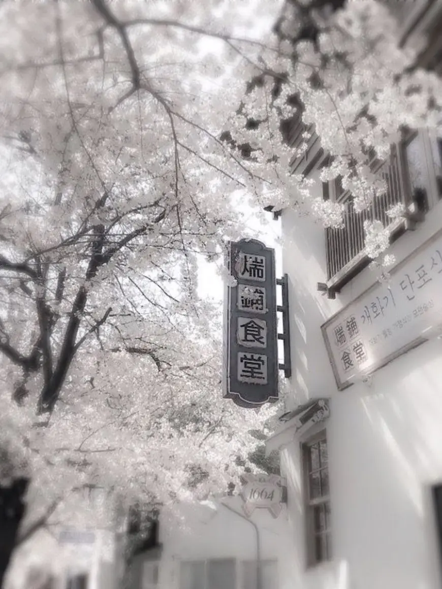 hl_vz1938의 置いていかないで