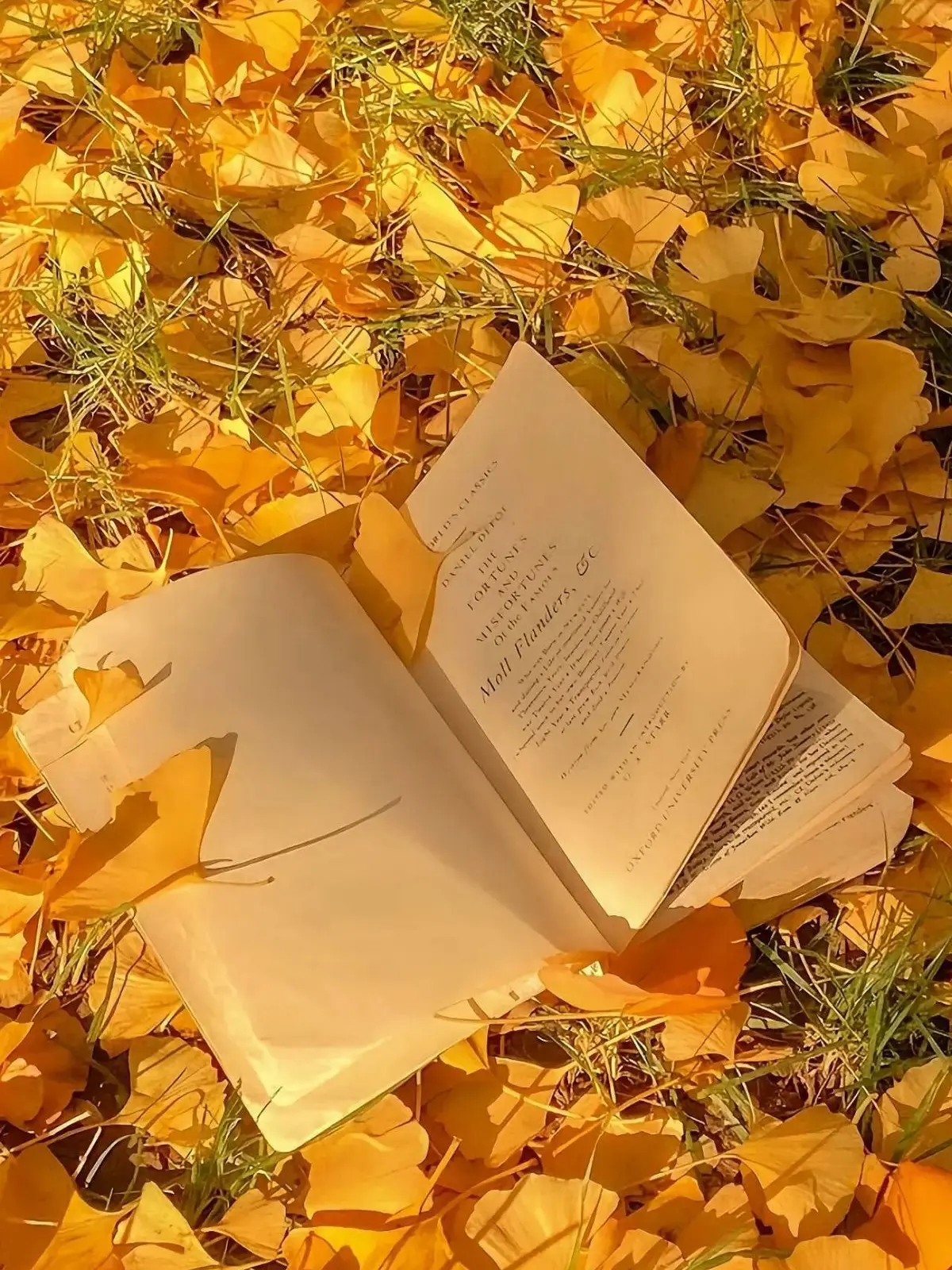 stabeolf320의 喫茶店