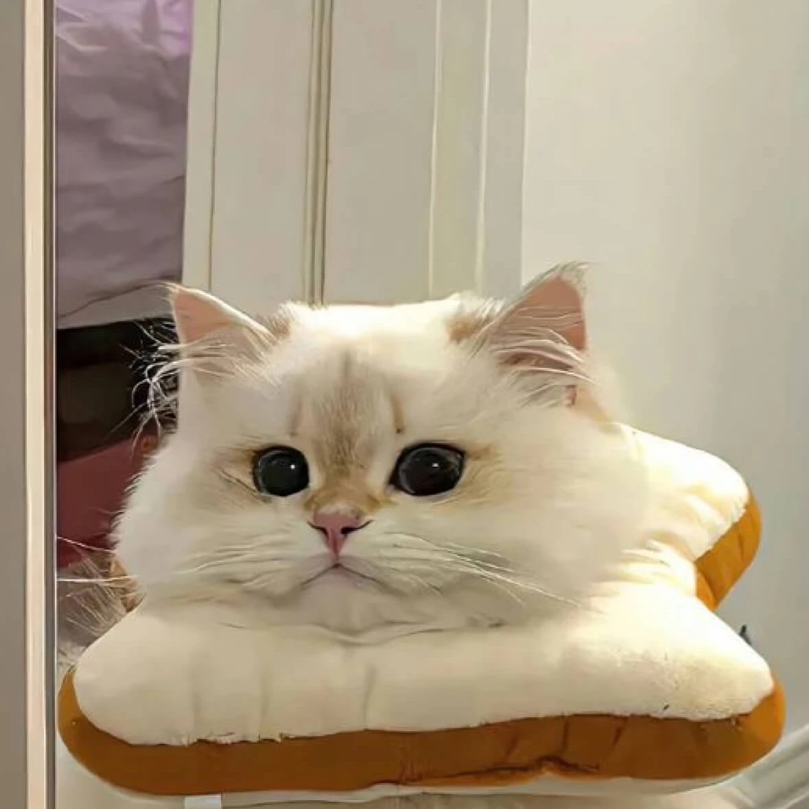 신정환