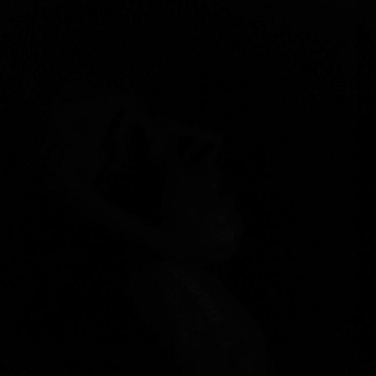 <제일병원 X 제일경찰서> 대표 이미지