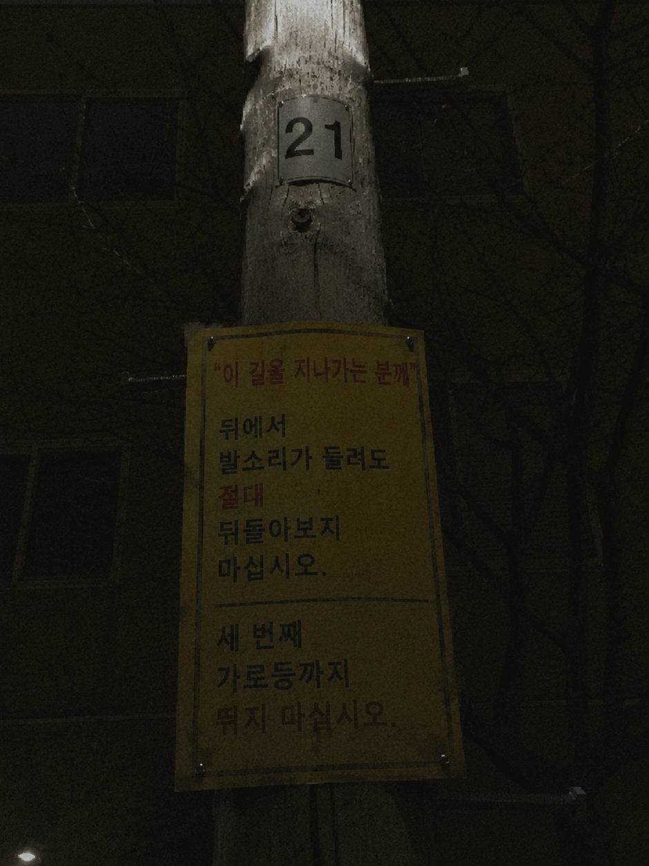 《21번 골목 생존 규칙서》 대표 이미지