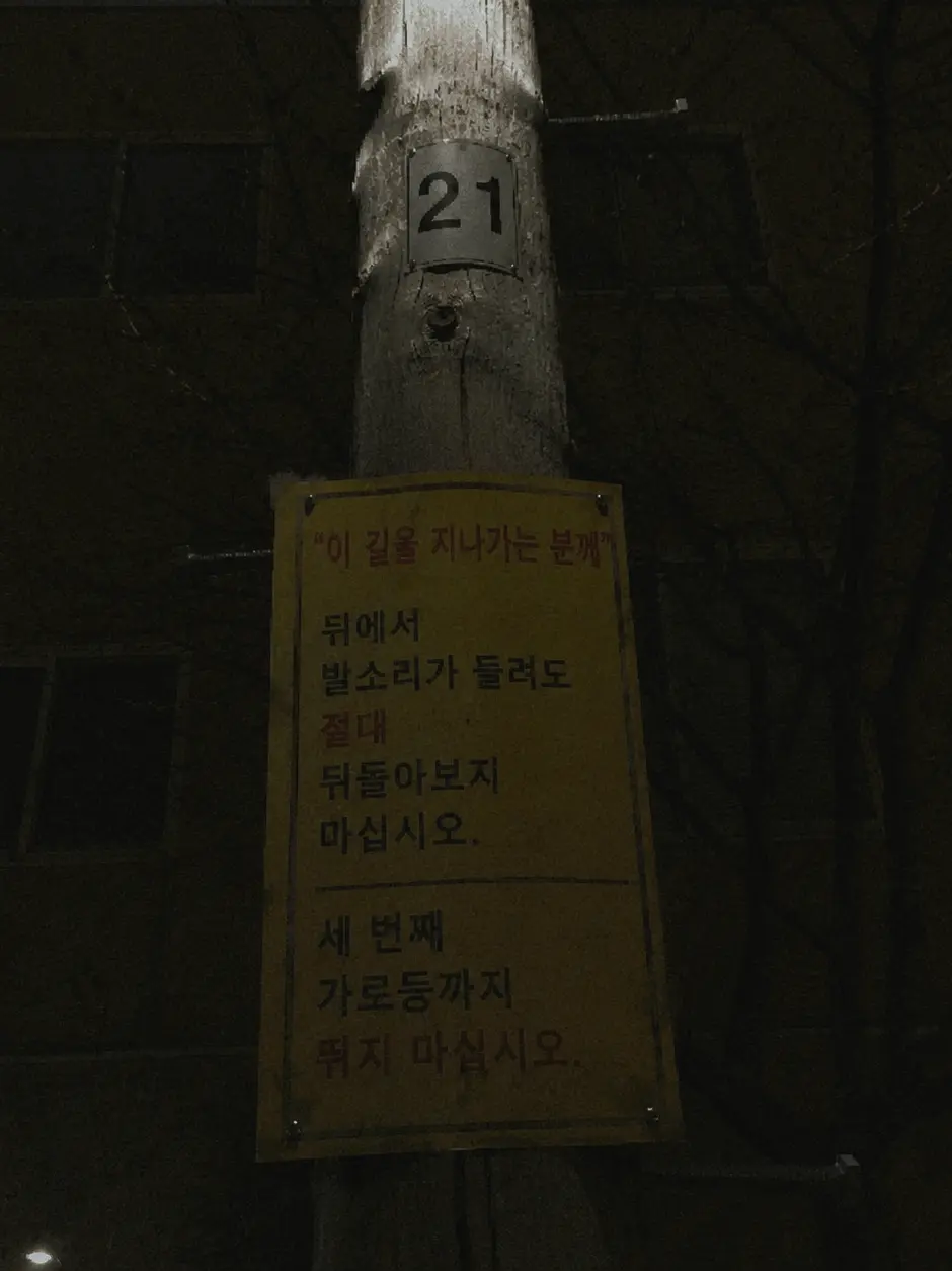 hans1917의 《21번 골목 생존 규칙서》