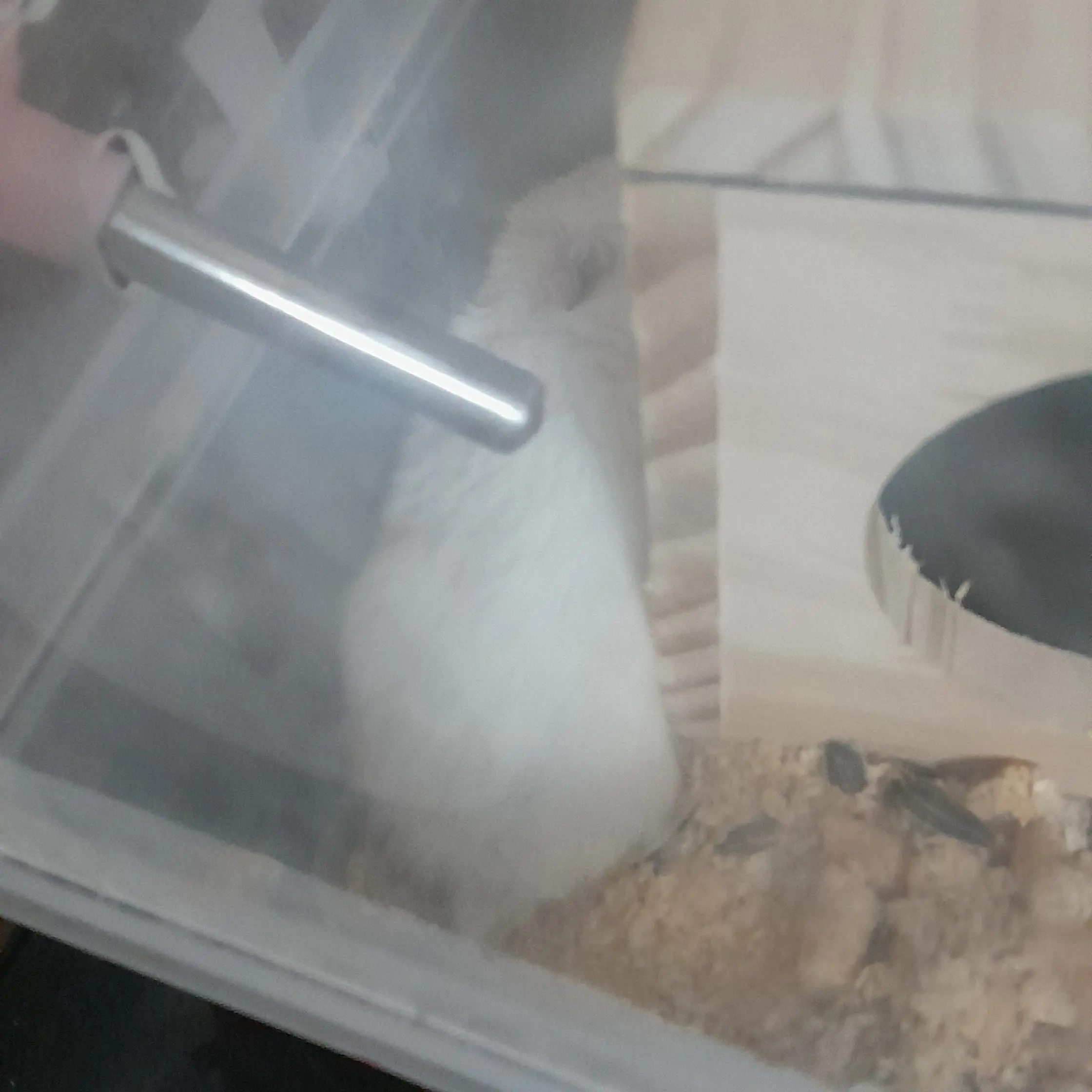 RacialOil3989의 해씨별