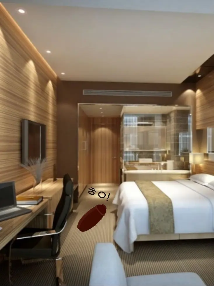 Furtye의 호텔에서 바퀴벌레가 나왔는데.....