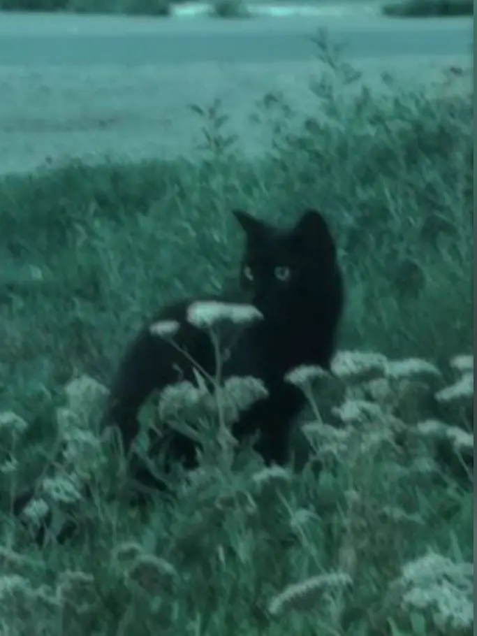 HonestAinu4229의 개인용