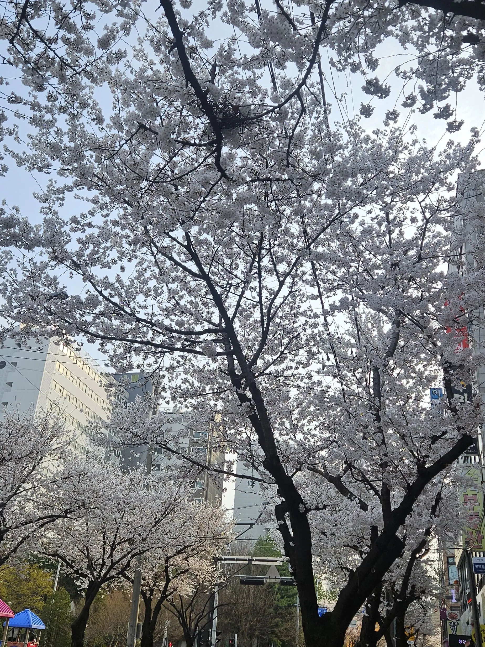 SleepyDog8263의 농장주인들의 일상