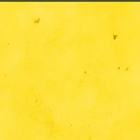 cutemackerel의 チュンラム(춘람)