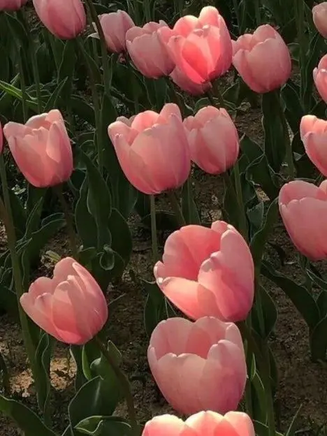 Shibal_my_life_의 이지훈