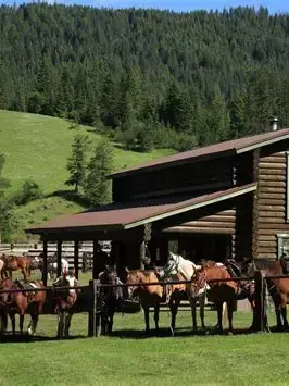StickyRing6015의 Ranch