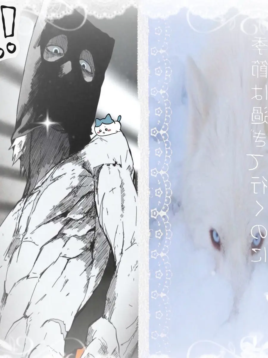 123meowpink456의 Fogland|| 💭.｡