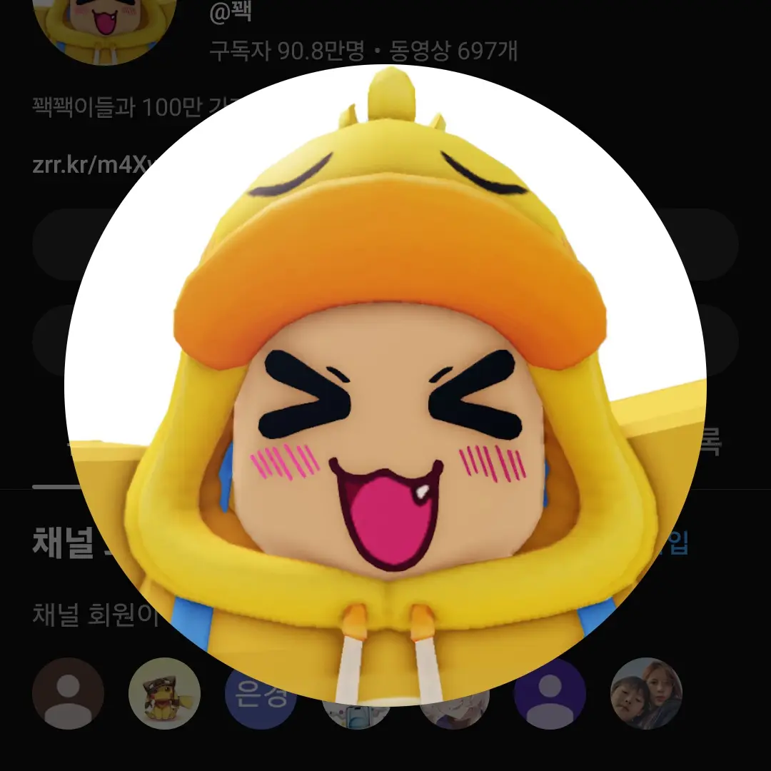 RemoteRival2956의 님은 교통사고 당했으세여~