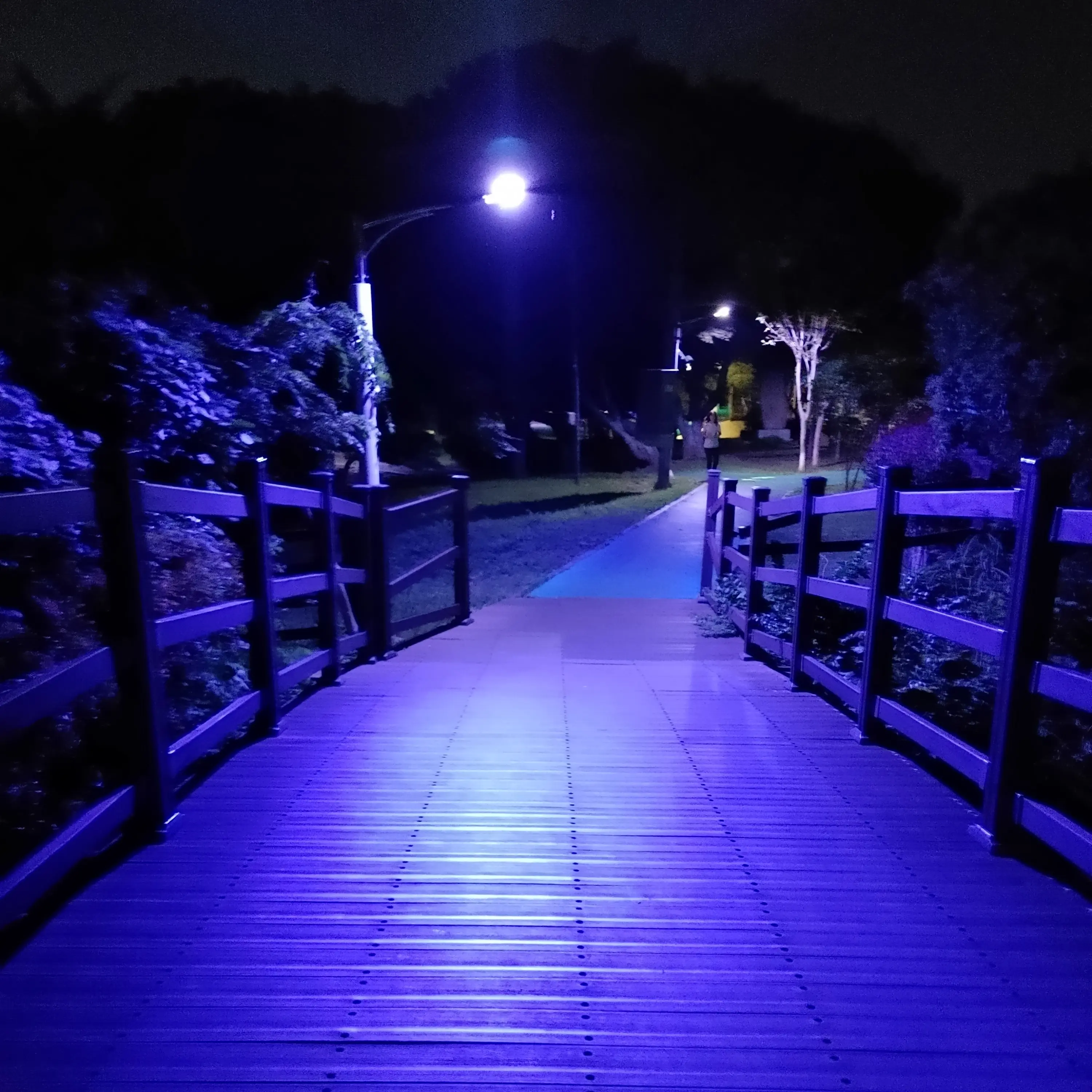 danileelol의 여우 남친과 비밀연애