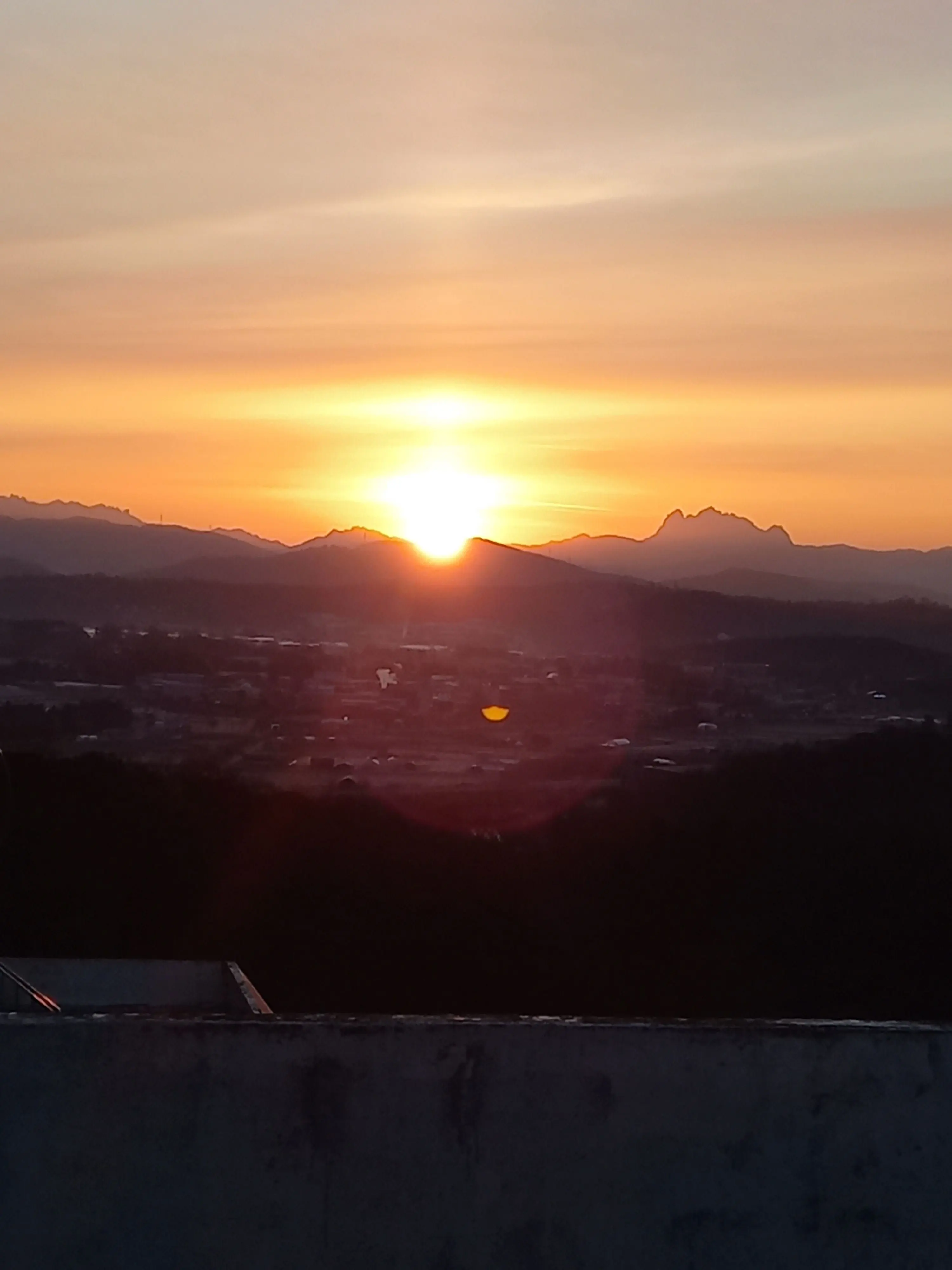 sunguisveryhard의 꽥꽥탐험대 엘프 마법 학교 +여우