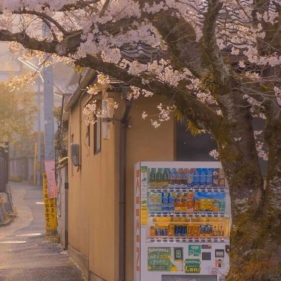 누나~나 좀 봐봐~