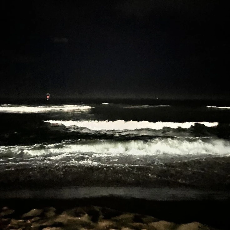 고래를 사랑한다던 그 애는