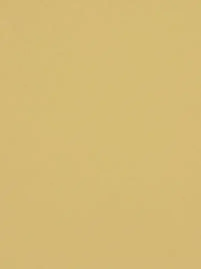 MutedTrill9656의 財団ラジオ