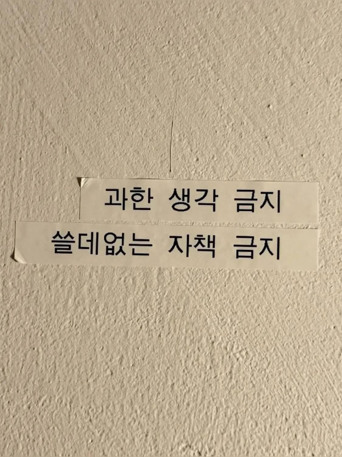 Z1_12의 힘히한