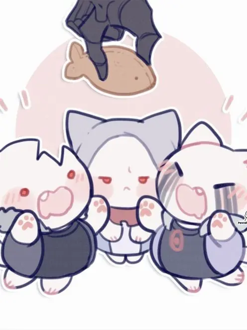 DDDu의 고양이 머탐트