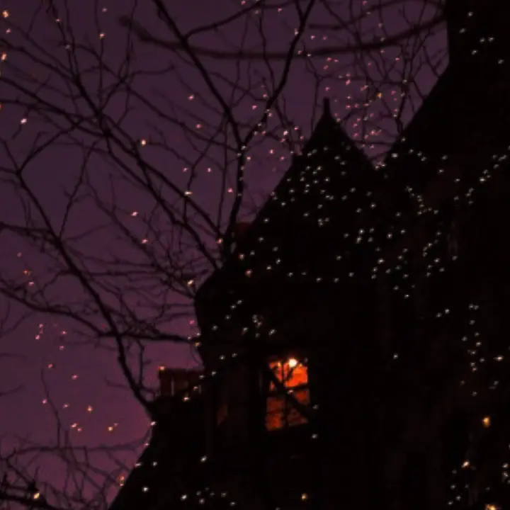 Ribeccachan_love_kishosan의 나만의 늑대수인.